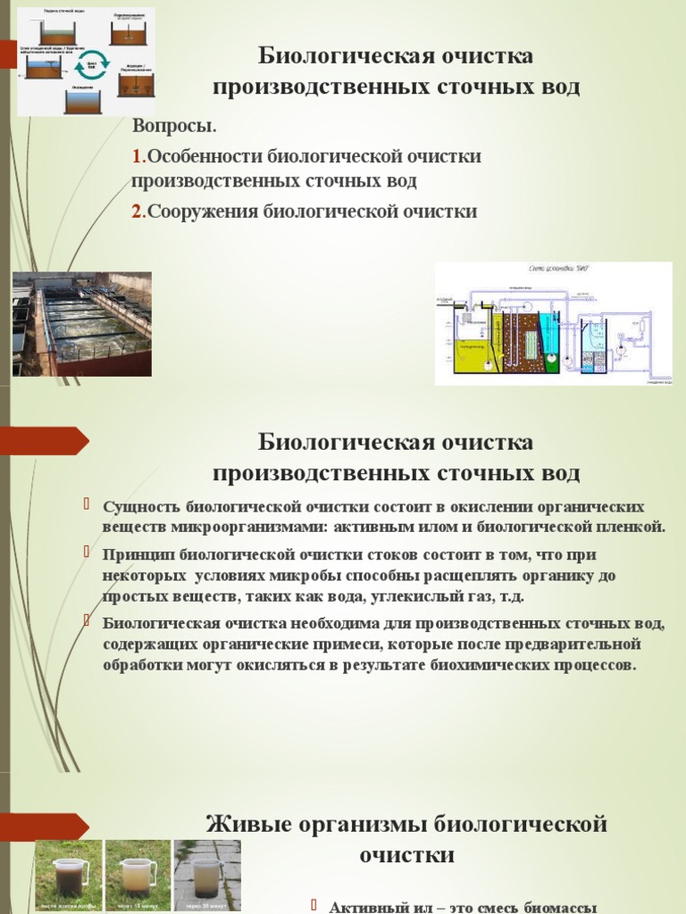 Реферат: Анаэробная биологическая очистка сточных вод